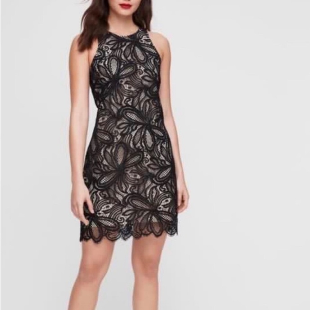 Aritzia/Babaton black and nude dress NWT